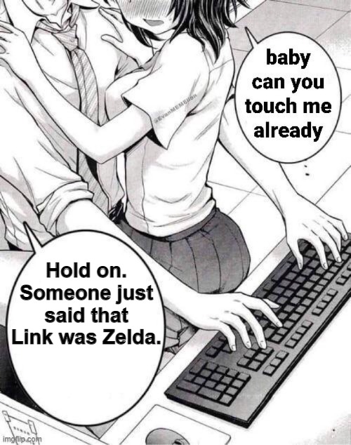 funnies 3 | Hold on. Someone just said that Link was Zelda. | image tagged in funny | made w/ Imgflip meme maker