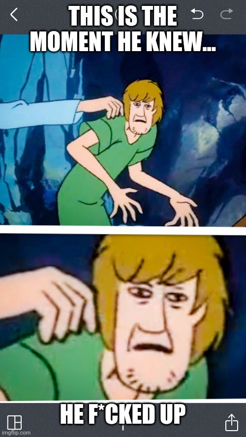Shaggy | THIS IS THE MOMENT HE KNEW... HE F*CKED UP | image tagged in shaggy,a meme | made w/ Imgflip meme maker