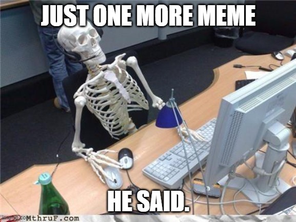 Don't Be Harold | JUST ONE MORE MEME; HE SAID. | image tagged in waiting skeleton,memes,life,dream,adventure,lol | made w/ Imgflip meme maker