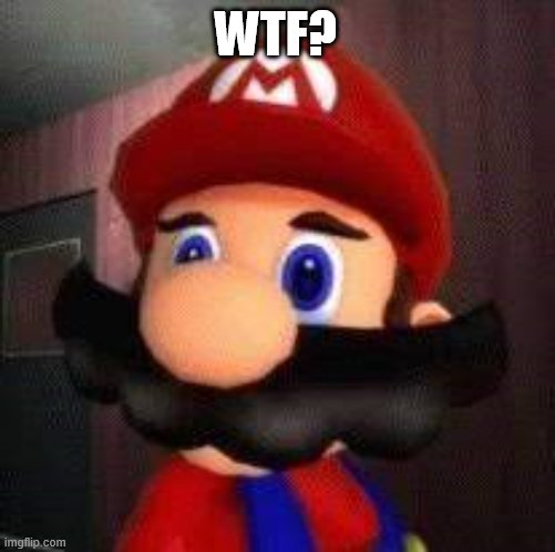 Stupid Mario | WTF? | image tagged in stupid mario | made w/ Imgflip meme maker