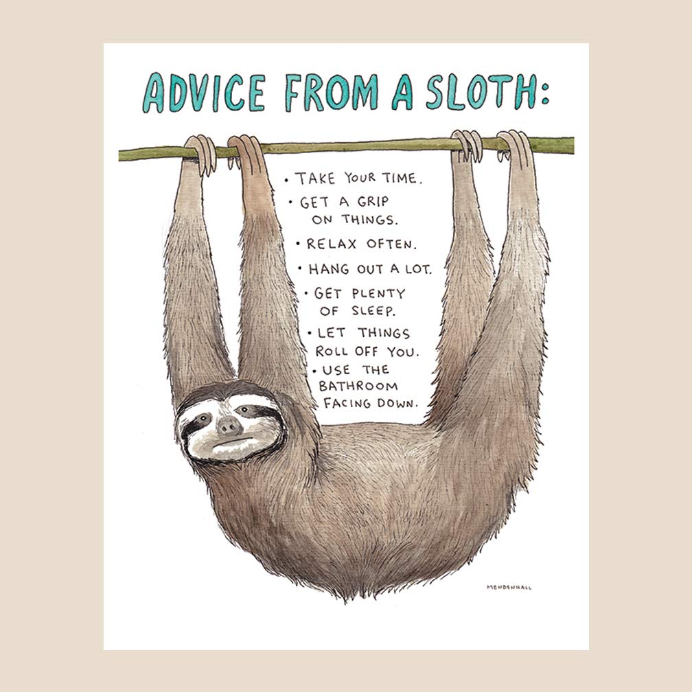 Advice from a sloth Blank Meme Template