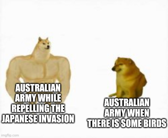 AUSTRALIAN ARMY WHILE REPELLING THE JAPANESE INVASION AUSTRALIAN ARMY WHEN THERE IS SOME BIRDS | made w/ Imgflip meme maker