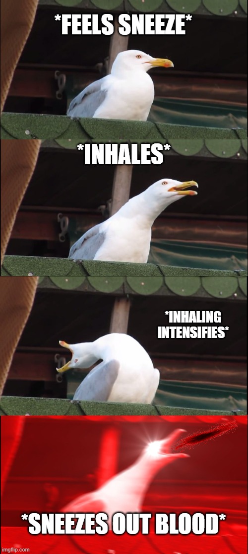 Inhaling Seagull Meme | *FEELS SNEEZE*; *INHALES*; *INHALING INTENSIFIES*; *SNEEZES OUT BLOOD* | image tagged in memes,inhaling seagull | made w/ Imgflip meme maker