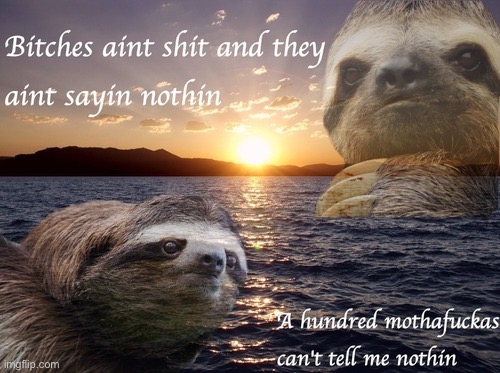 Sloth bitches ain’t shit | image tagged in sloth bitches ain t shit | made w/ Imgflip meme maker