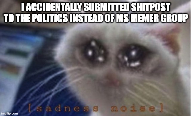 Mega sad cat | I ACCIDENTALLY SUBMITTED SHITPOST TO THE POLITICS INSTEAD OF MS MEMER GROUP | image tagged in mega sad cat | made w/ Imgflip meme maker