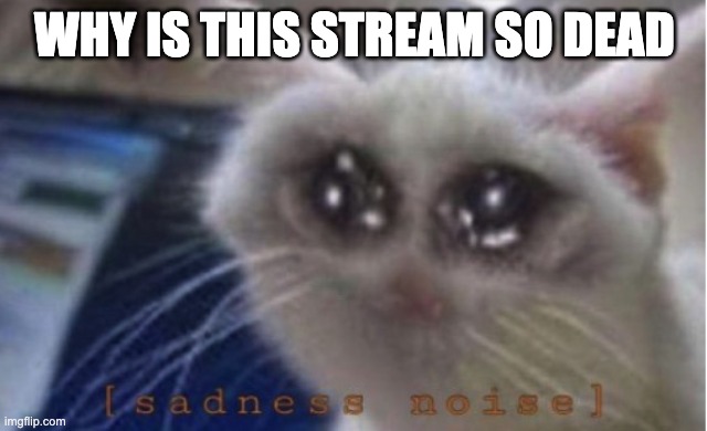Mega sad cat | WHY IS THIS STREAM SO DEAD | image tagged in mega sad cat | made w/ Imgflip meme maker