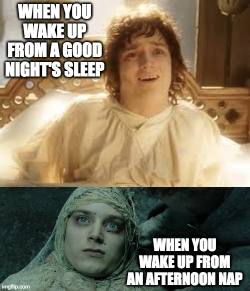 Frodo afternoon nap | WHEN YOU WAKE UP FROM A GOOD NIGHT'S SLEEP; WHEN YOU WAKE UP FROM AN AFTERNOON NAP | image tagged in frodo waking up,frodo lotr,frodo | made w/ Imgflip meme maker