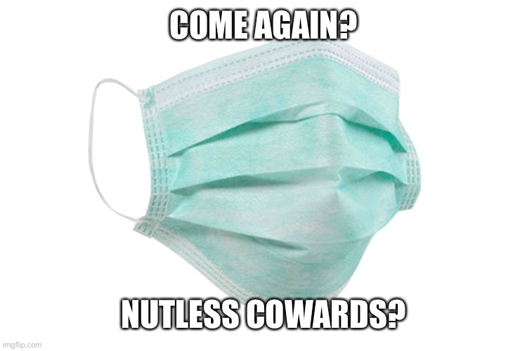 Face mask | COME AGAIN? NUTLESS COWARDS? | image tagged in face mask | made w/ Imgflip meme maker