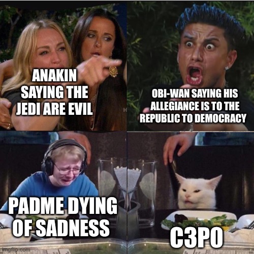 Four panel Taylor Armstrong Pauly D CallmeCarson Cat | ANAKIN SAYING THE JEDI ARE EVIL; OBI-WAN SAYING HIS ALLEGIANCE IS TO THE REPUBLIC TO DEMOCRACY; PADME DYING OF SADNESS; C3P0 | image tagged in four panel taylor armstrong pauly d callmecarson cat | made w/ Imgflip meme maker