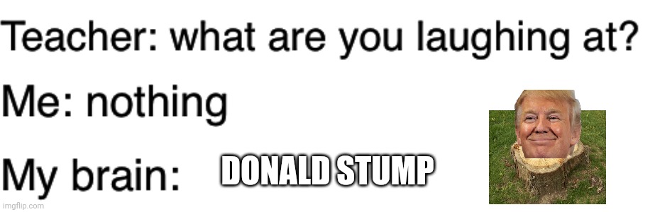 Teacher what are you laughing at | DONALD STUMP | image tagged in teacher what are you laughing at | made w/ Imgflip meme maker