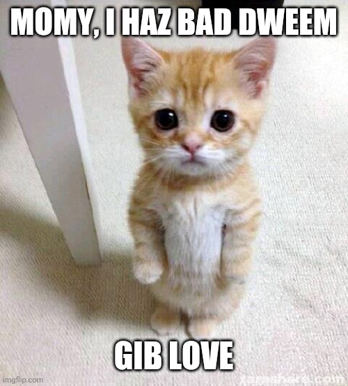 Cat meme | MOMY, I HAZ BAD DWEEM GIB LOVE | image tagged in cat,cute cat,cats,memes,funny memes | made w/ Imgflip meme maker