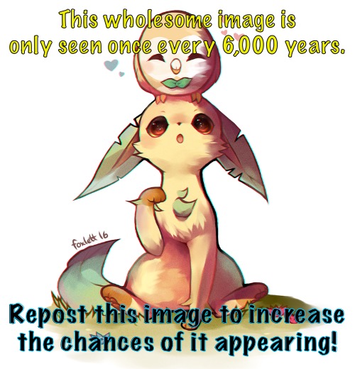 . | This wholesome image is only seen once every 6,000 years. Repost this image to increase the chances of it appearing! | image tagged in cute leafeon and rowlet | made w/ Imgflip meme maker