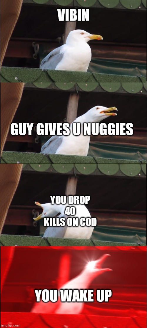 Inhaling Seagull Meme | VIBIN; GUY GIVES U NUGGIES; YOU DROP 40 KILLS ON COD; YOU WAKE UP | image tagged in memes,inhaling seagull | made w/ Imgflip meme maker