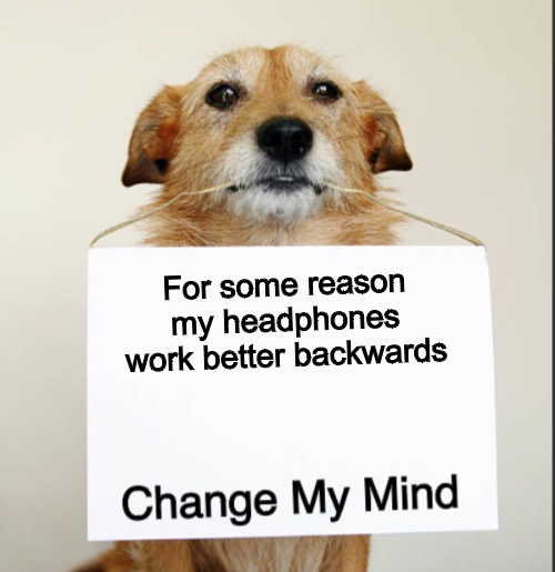 Change My Mind Dog | For some reason my headphones work better backwards | image tagged in change my mind dog | made w/ Imgflip meme maker