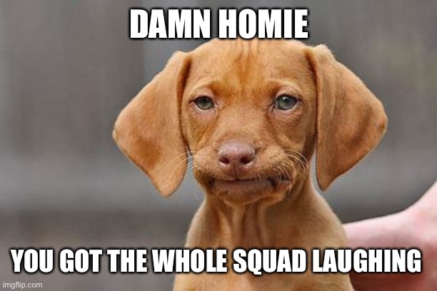 Damn | DAMN HOMIE; YOU GOT THE WHOLE SQUAD LAUGHING | image tagged in dissapointed puppy,memes,funny | made w/ Imgflip meme maker