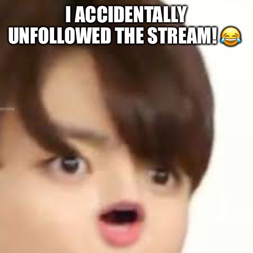 oopsie | I ACCIDENTALLY UNFOLLOWED THE STREAM! 😂 | image tagged in oopsie | made w/ Imgflip meme maker