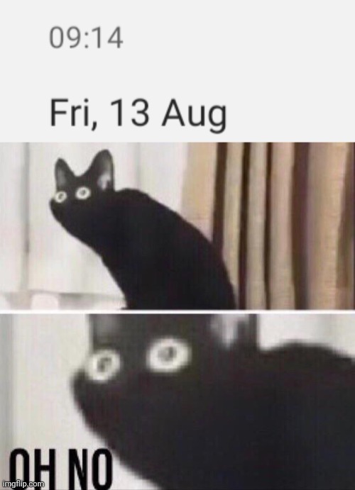 Friday the 13th? | image tagged in oh no cat,friday the 13th,friday,memes,oh no | made w/ Imgflip meme maker