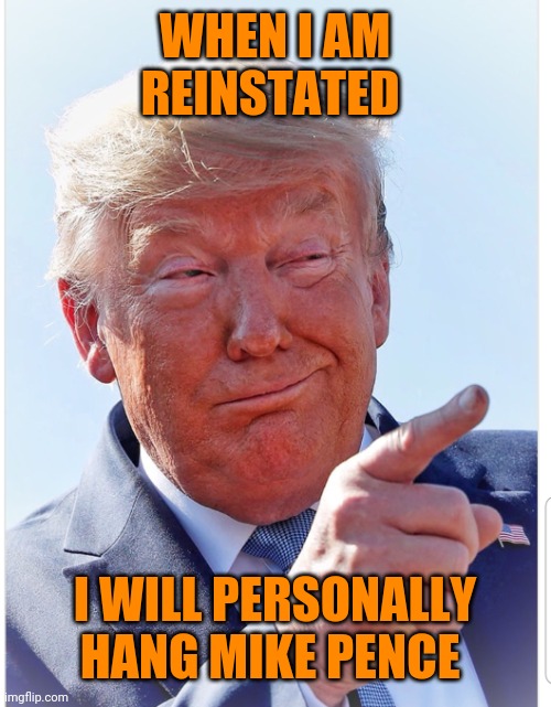 Trump pointing | WHEN I AM REINSTATED; I WILL PERSONALLY HANG MIKE PENCE | image tagged in trump pointing | made w/ Imgflip meme maker