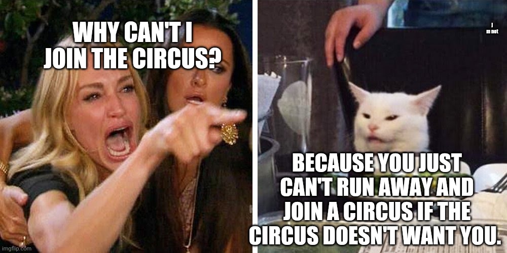 Smudge the cat | j m not; WHY CAN'T I JOIN THE CIRCUS? BECAUSE YOU JUST CAN'T RUN AWAY AND JOIN A CIRCUS IF THE CIRCUS DOESN'T WANT YOU. | image tagged in smudge the cat | made w/ Imgflip meme maker