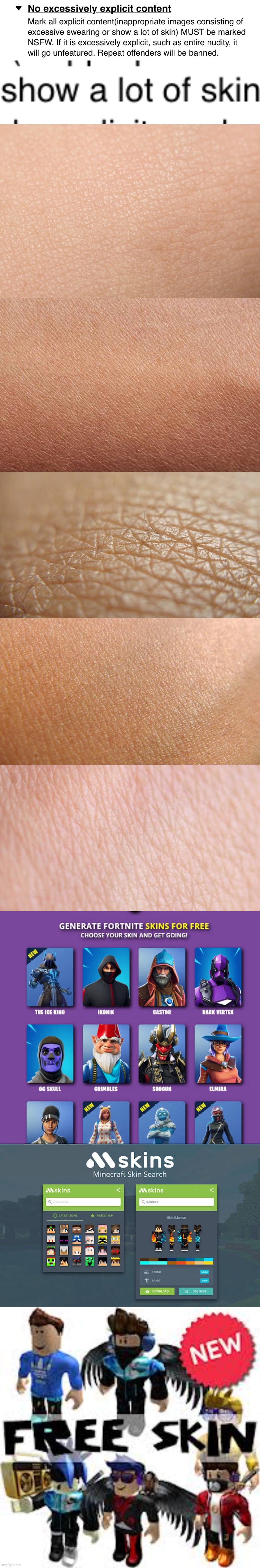 That one rule description on VAMG (none of this are my skin lol) | made w/ Imgflip meme maker