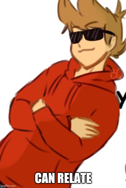 Tord | CAN RELATE | image tagged in tord | made w/ Imgflip meme maker