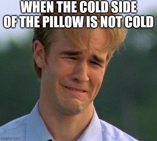 1990s First World Problems |  WHEN THE COLD SIDE OF THE PILLOW IS NOT COLD | image tagged in memes,1990s first world problems,pillow,cold side | made w/ Imgflip meme maker