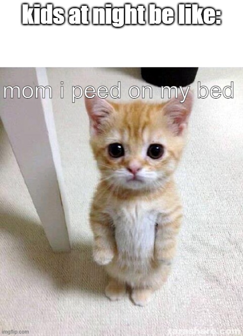 night memes | kids at night be like:; mom i peed on my bed | image tagged in memes,cute cat,cat,kids,fun,funny | made w/ Imgflip meme maker