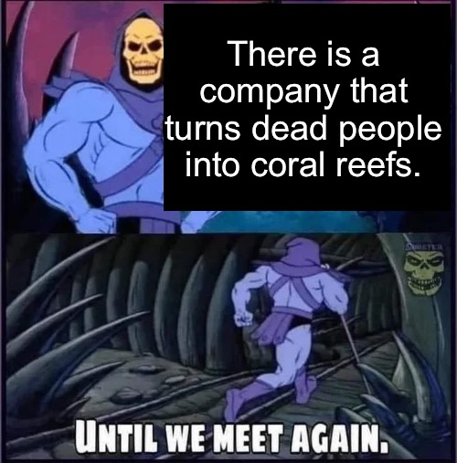 So basically the fish are eating people— | There is a company that turns dead people into coral reefs. | image tagged in until we meet again | made w/ Imgflip meme maker