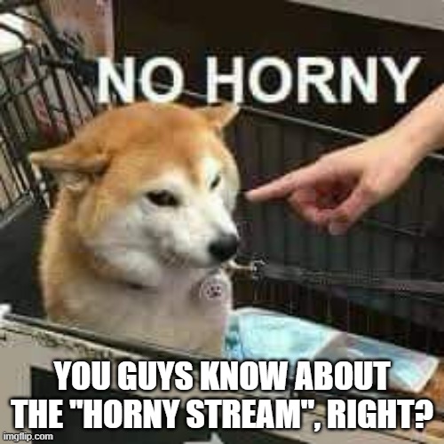 It's a thing, and we can find all of our horny users there | YOU GUYS KNOW ABOUT THE "HORNY STREAM", RIGHT? | image tagged in no horny doge | made w/ Imgflip meme maker