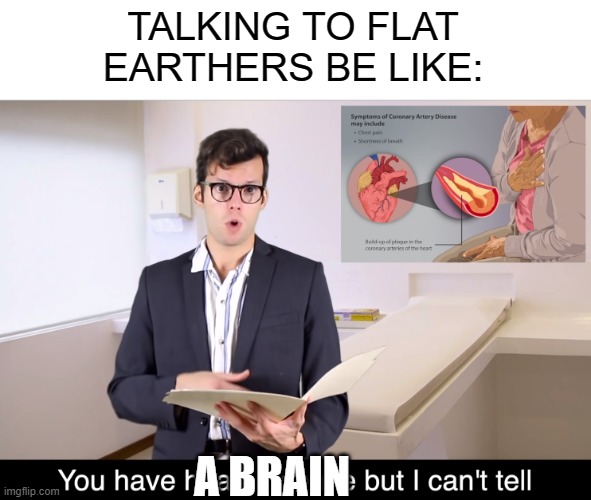 Flat earthers: |  TALKING TO FLAT EARTHERS BE LIKE:; A BRAIN | image tagged in you have x but i cant tell | made w/ Imgflip meme maker