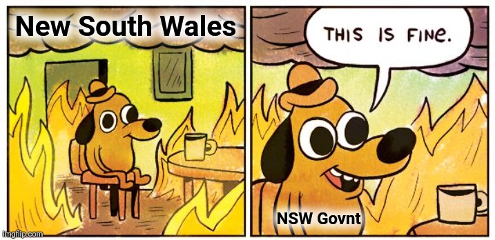 Reality Check | New South Wales; NSW Govnt | image tagged in memes,this is fine,reality check,nsw | made w/ Imgflip meme maker