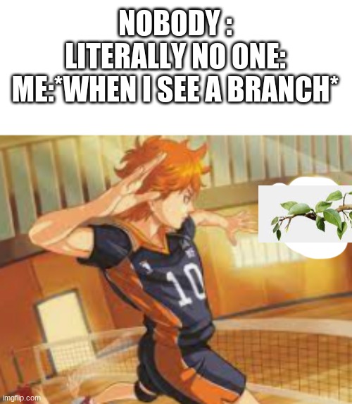 me when i see a branch | NOBODY :
LITERALLY NO ONE:
ME:*WHEN I SEE A BRANCH* | image tagged in anime | made w/ Imgflip meme maker