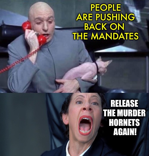 They’re back again in Washington state! | PEOPLE ARE PUSHING BACK ON 
THE MANDATES; RELEASE 
THE MURDER 
HORNETS 
AGAIN! | image tagged in dr evil and frau | made w/ Imgflip meme maker