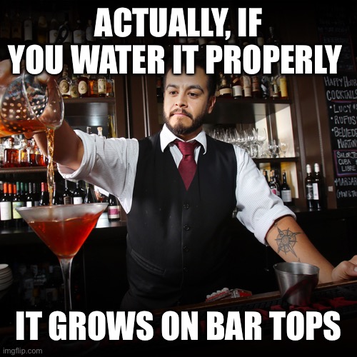 Pouring Bartender | ACTUALLY, IF YOU WATER IT PROPERLY IT GROWS ON BAR TOPS | image tagged in pouring bartender | made w/ Imgflip meme maker