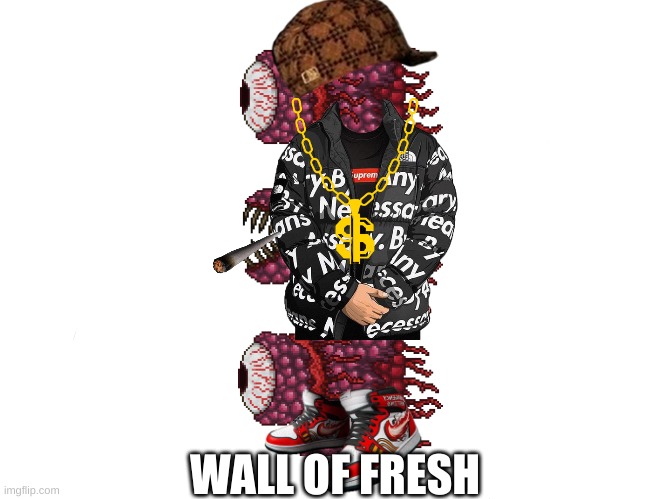 Wall of Fresh | WALL OF FRESH | image tagged in terraria,memes,funny memes,gaming | made w/ Imgflip meme maker