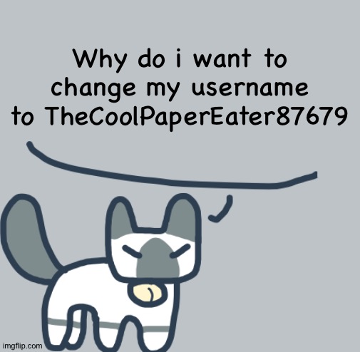 Cat | Why do i want to change my username to TheCoolPaperEater87679 | image tagged in cat | made w/ Imgflip meme maker
