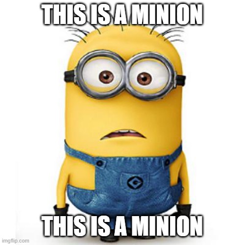 Minions | THIS IS A MINION THIS IS A MINION | image tagged in minions | made w/ Imgflip meme maker