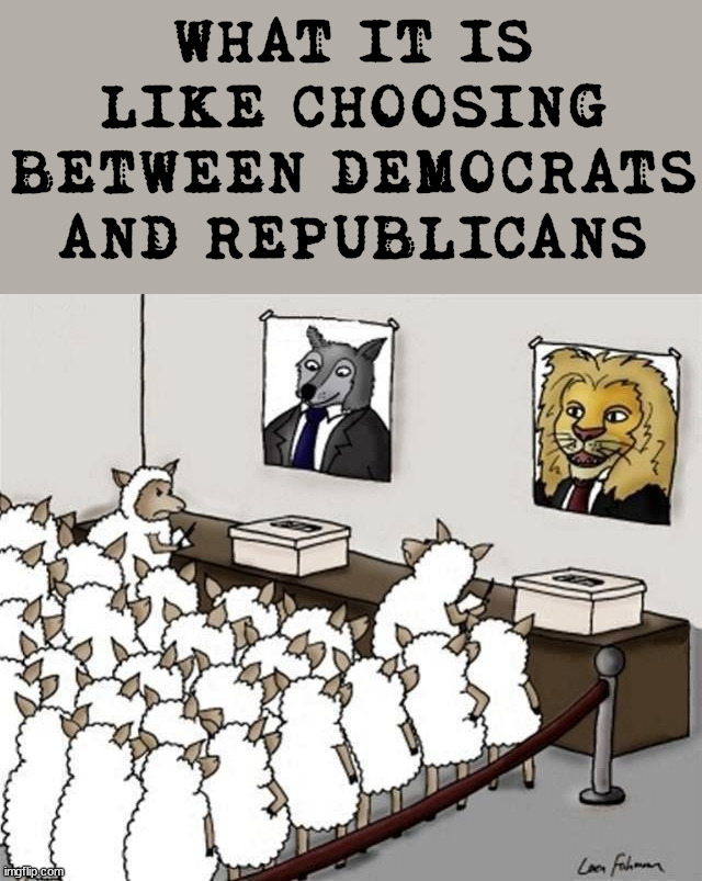 WHAT IT IS LIKE CHOOSING BETWEEN DEMOCRATS AND REPUBLICANS | image tagged in politics | made w/ Imgflip meme maker