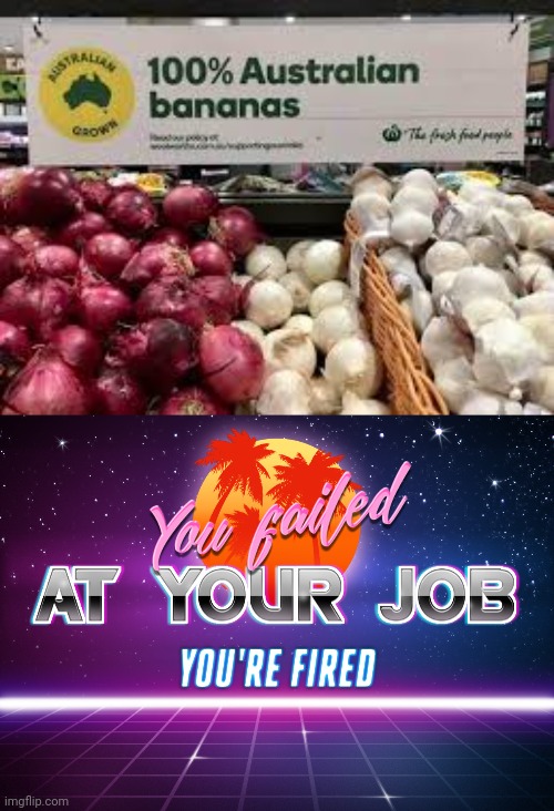 image tagged in you failed at your job you're fired | made w/ Imgflip meme maker