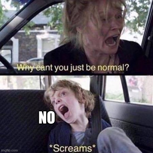 Why Can't You Just Be Normal | NO | image tagged in why can't you just be normal | made w/ Imgflip meme maker