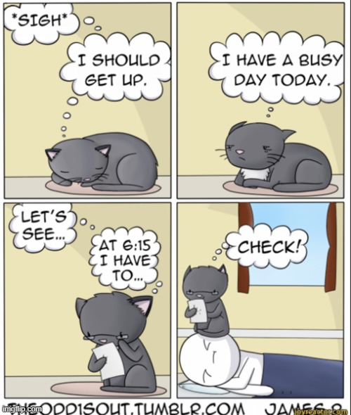 A Cat's Way Of Thinking | image tagged in memes,comics,cats,to do list,sit down,head | made w/ Imgflip meme maker