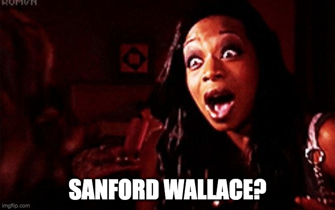 Beyoncé ?! Tiffany Pollard | SANFORD WALLACE? | image tagged in beyonc tiffany pollard | made w/ Imgflip meme maker