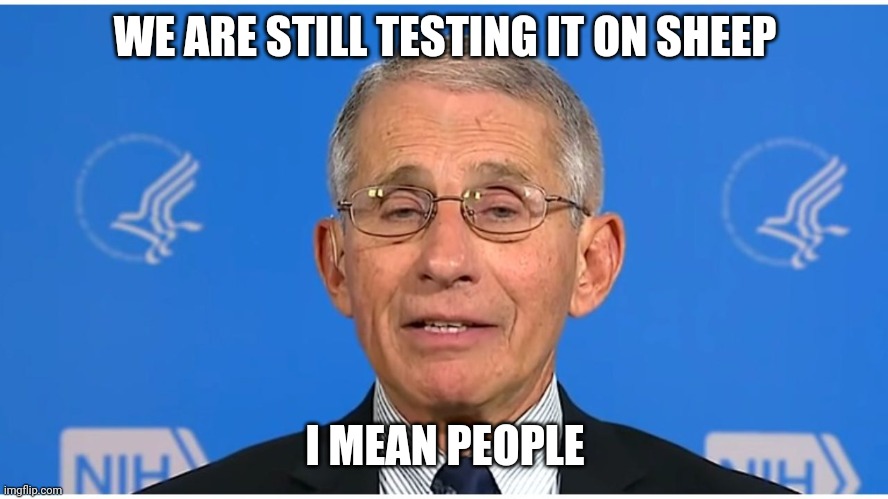 Dr Fauci | WE ARE STILL TESTING IT ON SHEEP I MEAN PEOPLE | image tagged in dr fauci | made w/ Imgflip meme maker