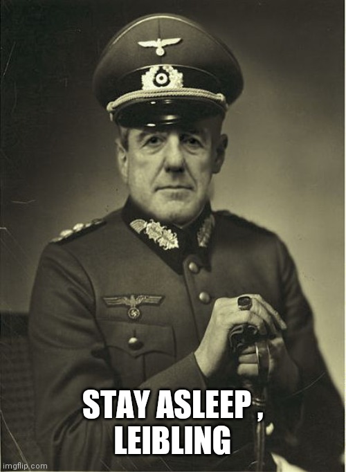 Good Guy Mueller | STAY ASLEEP ,
LEIBLING | image tagged in good guy mueller | made w/ Imgflip meme maker