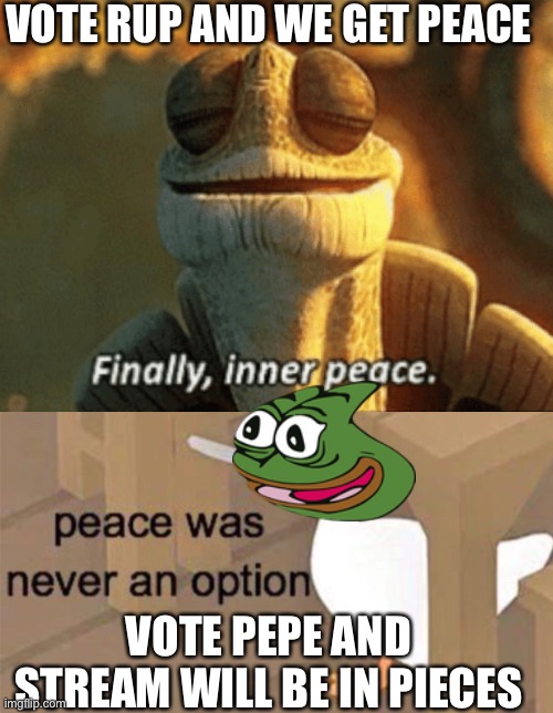 Make the Right Choice! | VOTE RUP AND WE GET PEACE VOTE PEPE AND STREAM WILL BE IN PIECES | image tagged in finally inner peace,untitled goose peace was never an option | made w/ Imgflip meme maker