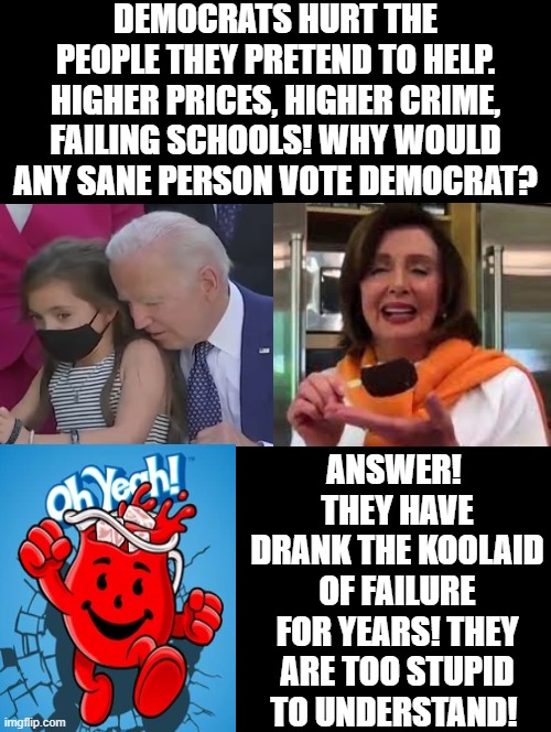 They are too stupid to understand! |  DEMOCRATS HURT THE PEOPLE THEY PRETEND TO HELP. HIGHER PRICES, HIGHER CRIME, FAILING SCHOOLS! WHY WOULD ANY SANE PERSON VOTE DEMOCRAT? ANSWER!  THEY HAVE DRANK THE KOOLAID OF FAILURE FOR YEARS! THEY ARE TOO STUPID TO UNDERSTAND! | image tagged in morons,idiots,stupid liberals,human stupidity,cowards,creepy joe biden | made w/ Imgflip meme maker