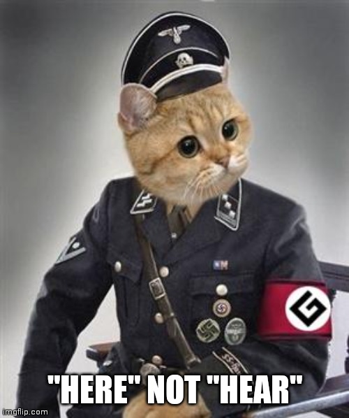 Grammar Nazi Cat | "HERE" NOT "HEAR" | image tagged in grammar nazi cat | made w/ Imgflip meme maker