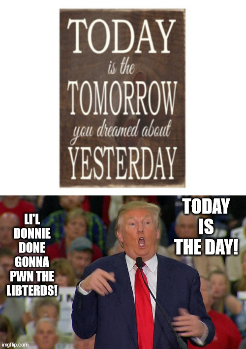 it's here!!!!!!!! | TODAY IS THE DAY! LI'L DONNIE DONE GONNA PWN THE LIBTERDS! | image tagged in idiot trump,idiot magats | made w/ Imgflip meme maker