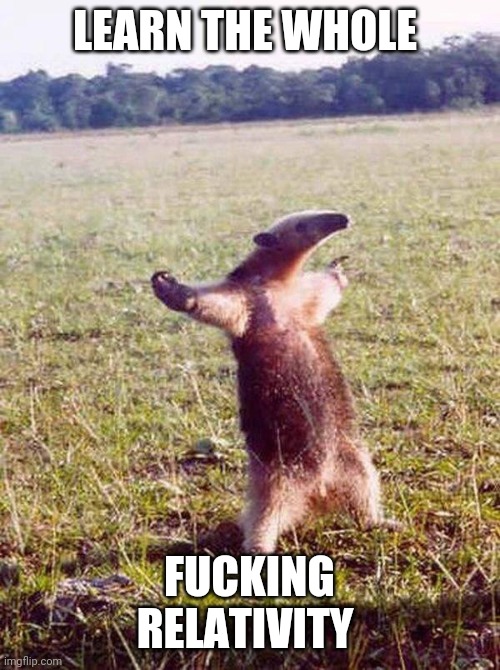 Fight me anteater | LEARN THE WHOLE; FUCKING RELATIVITY | image tagged in fight me anteater | made w/ Imgflip meme maker