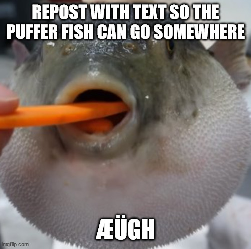 ÆÜGHÆÜGHÆÜGHÆÜGHÆÜGHÆÜGH | REPOST WITH TEXT SO THE PUFFER FISH CAN GO SOMEWHERE; ÆÜGH | image tagged in pufferfish eating carrot | made w/ Imgflip meme maker